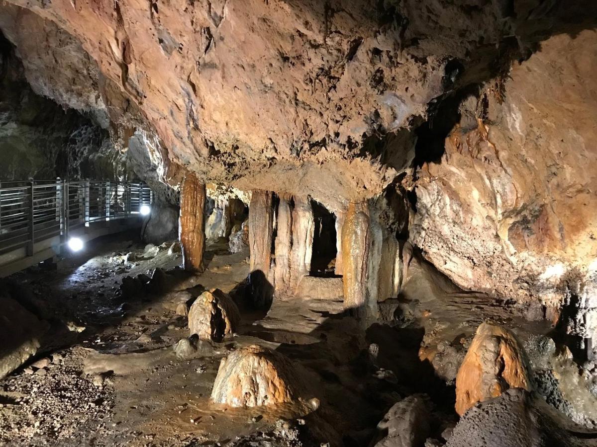 Montesanto 116 Leilighet Cosenza Eksteriør bilde