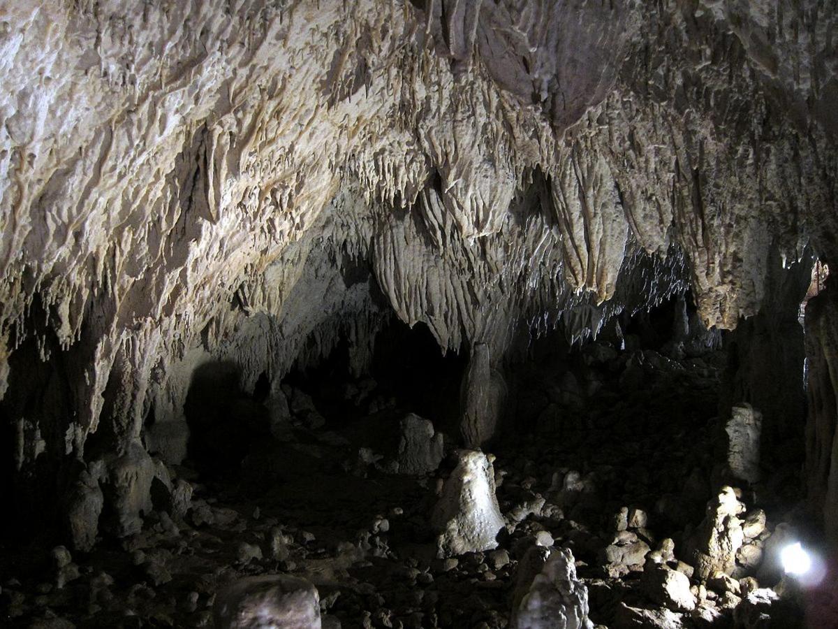 Montesanto 116 Leilighet Cosenza Eksteriør bilde